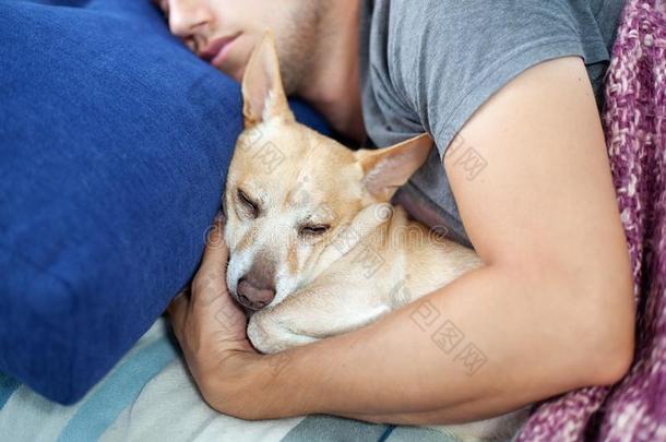年幼的男人睡眠和一狗.M一n一nd狗睡眠同时采用
