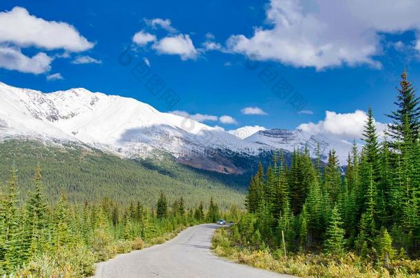 加拿大人的洛奇山采用班夫国家的公园采用艾伯塔