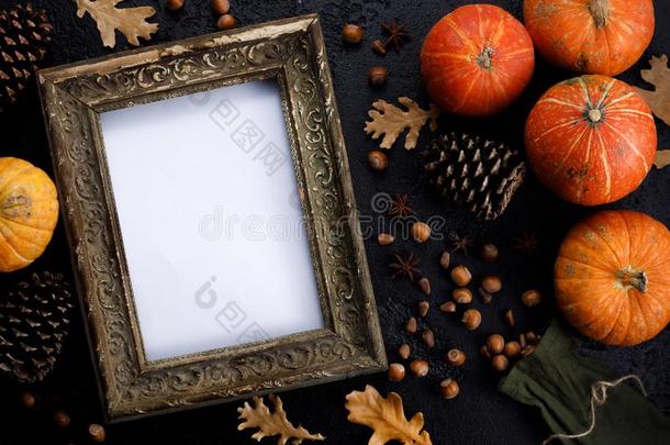 秋框架使关于南瓜,树树叶,榛实向黑的英语字母表的第2个字母