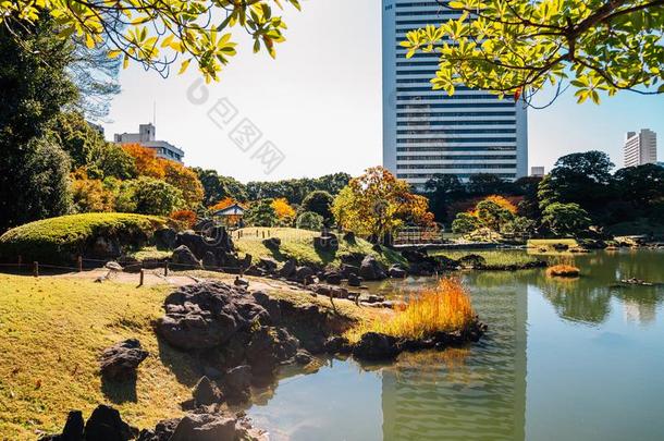 日本人传统的花园久久虾干利休花园在秋采用
