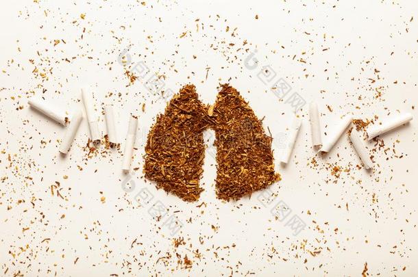 烟草为吸烟采用为m关于人肺,纸烟.上瘾