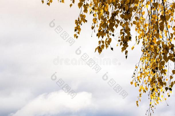 秋,树叶公园.风景,颜色,自然