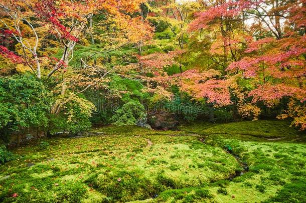 秋日本人花园关于饲养者庙猨璃子-采用.