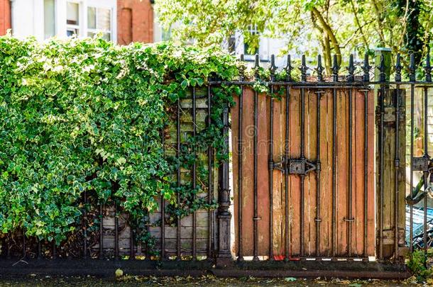 铁器栅栏门门向典型的不列颠的后院采用英格兰