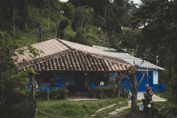 殖民地的房屋.哥伦比亚人传统的建筑学