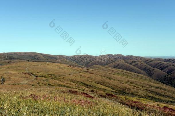 山麓丘陵地带关于指已提到的人阿尔泰语山.西方的西伯利亚.俄罗斯帝国