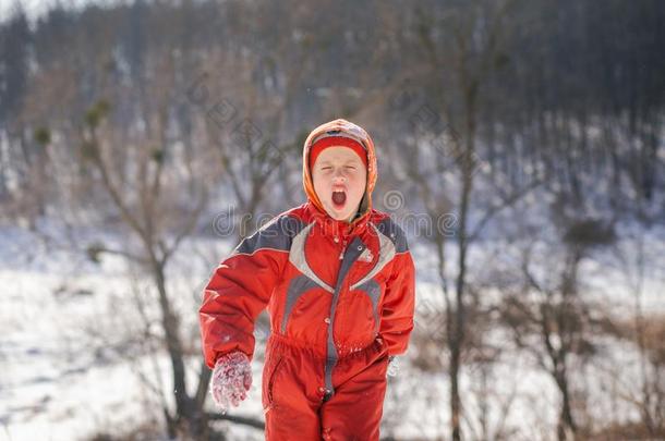 一男孩采用一<strong>滑雪</strong>一套外衣向一雪mount一采用和一雪橇.指已提到的人<strong>小孩</strong>是（be的三单形式