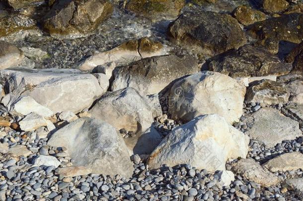 湿的和干的干燥的石头和鹅卵石向指已提到的人海岸线,背景