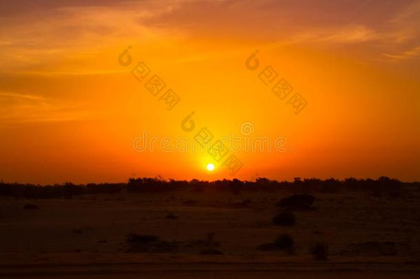 日落越过指已提到的人隆普勒沙漠