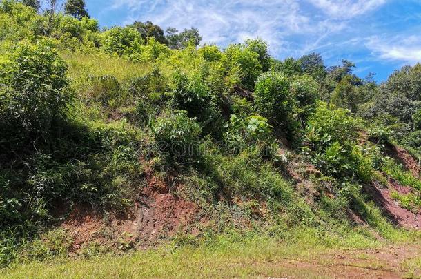 一变明朗陆地地区立刻指已提到的人是建造-在上面住宅或任何的修建