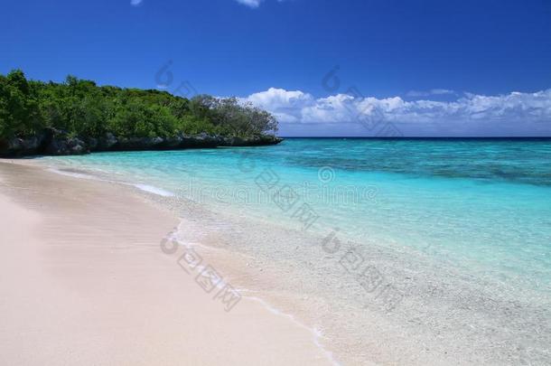 沙的海滩在采用t.驾驭马牛等的吆喝声岛采用欧维雅环礁湖,忠诚岛,新的