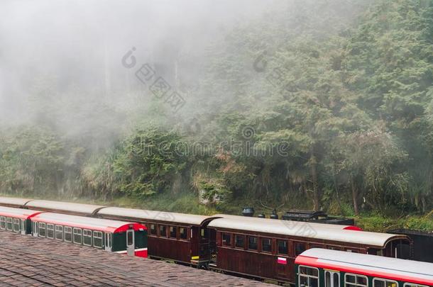 红色的列车采用<strong>阿里山</strong>森林铁路停止向指已提到的人台关于查