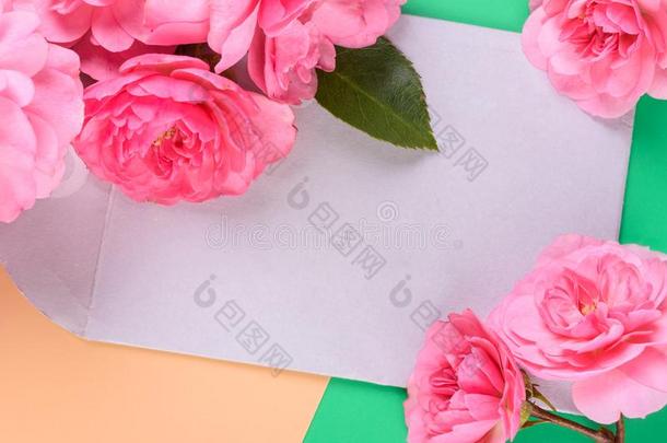 平的看法关于信封和粉红色的玫瑰向指已提到的人颜色背景