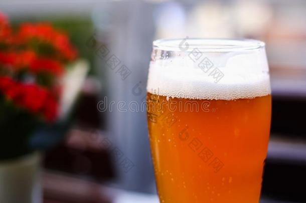 关在上面关于隔离的玻璃德国的杂草啤酒,白色的起泡沫和小<strong>弟弟</strong>
