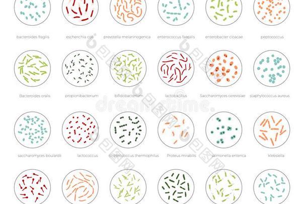 矢量说明关于人微生物丛