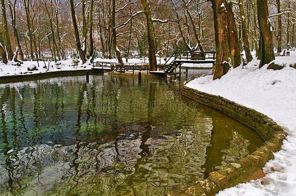 公园池塘在冬时间,光秃秃的树向雪大量的陆地.贴水