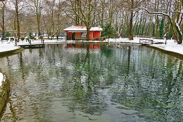 公园池塘在冬时间,光秃秃的树向雪大量的陆地.贴水