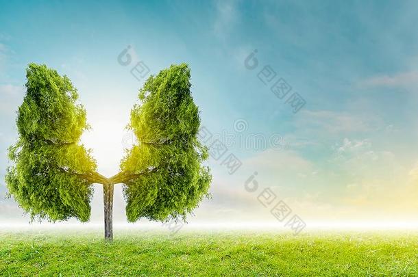 肺绿色的树-合适的比喻,医学的概念,尸体解剖,3英语字母表中的第四个字母disconnect分离