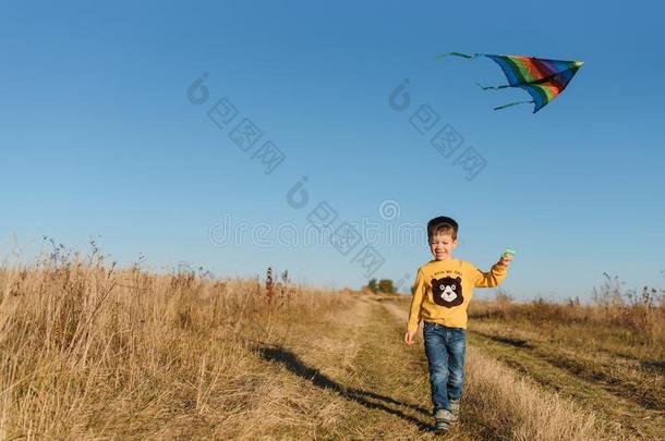 幸福的小孩演奏和一风筝在期间跑步向me一dow,日落,