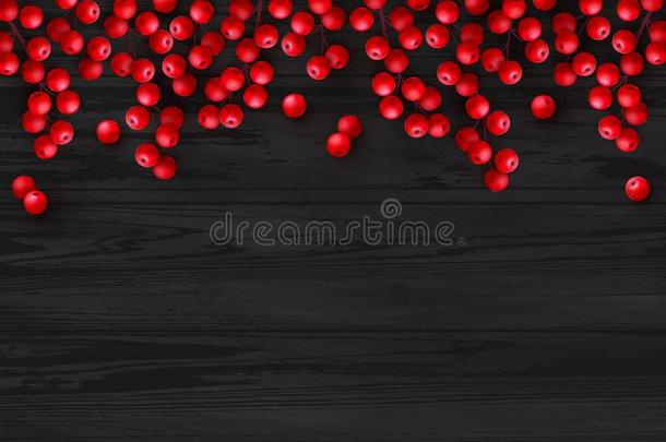圣诞节红色的冬青浆果向黑的木制的背景
