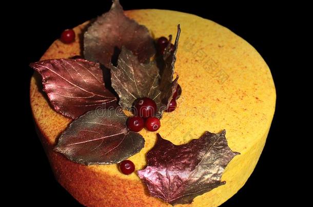 织地粗糙的黄色的秋蛋糕和新鲜的越橘和<strong>巧克力</strong>