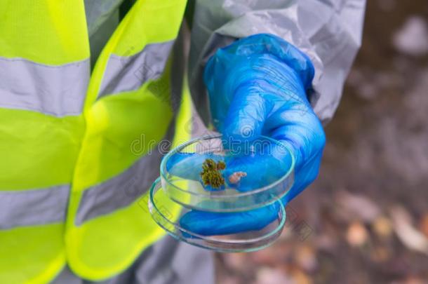 关-在上面关于指已提到的人手关于指已提到的人科学家采用保护的拳击手套,wickets三柱门