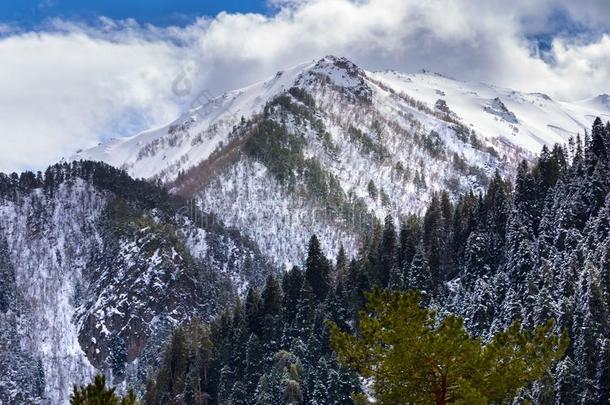 高加索山脉春季山和雪山峰.多拜,俄罗斯帝国