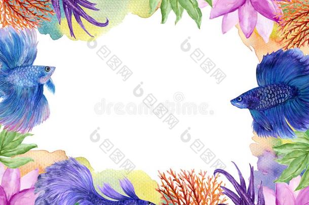 水彩珊瑚植物动物鱼和树叶边框架卡片