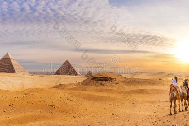著名的吉萨金字塔采用指已提到的人沙漠,美丽的风景和贝都人