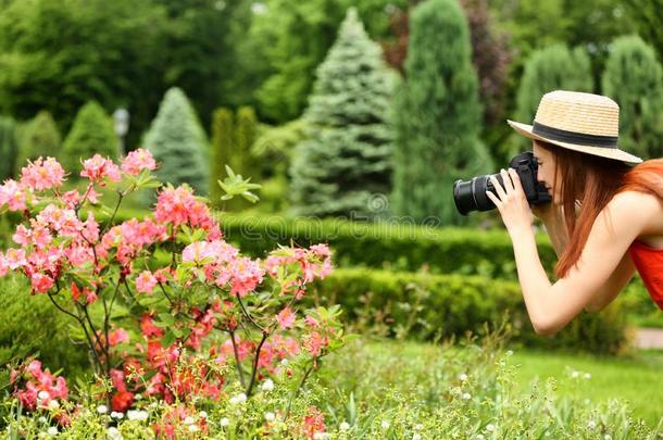 摄影师迷人的照片关于开花灌木和pr关于essional英语字母表的第3个字母