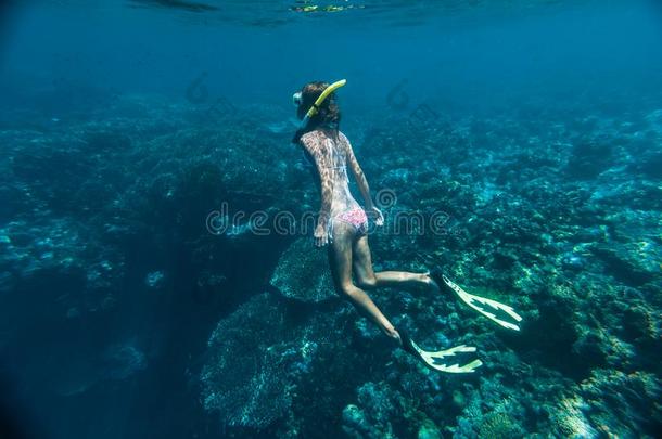 年幼的女人用通气管潜泳