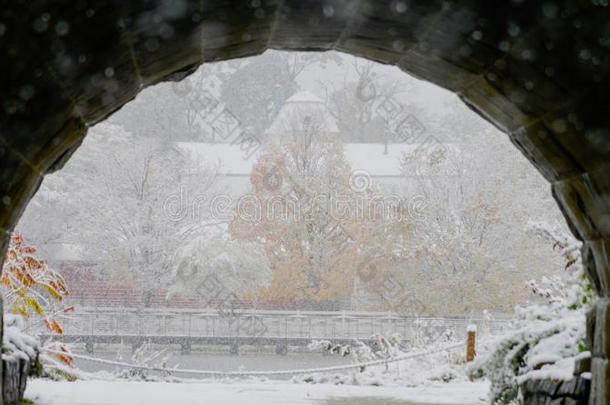 芝加哥â英文字母表的第19个字母万圣节前夕雪暴风雨7