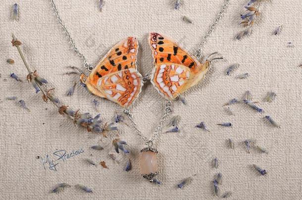 手工做的铜珠宝蝴蝶从指已提到的人属伊索里亚10