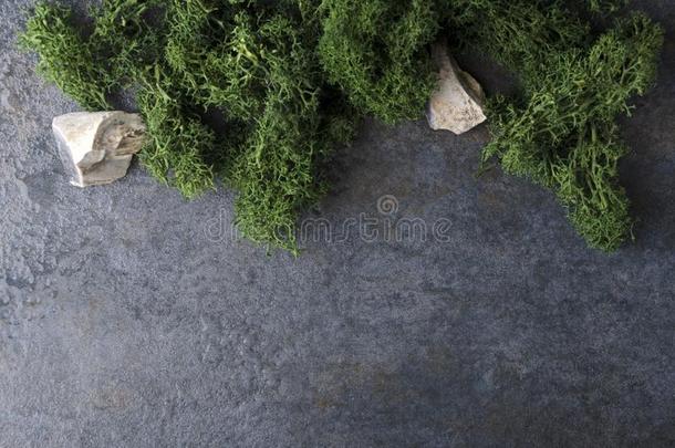 顶看法关于新鲜的绿色的苔藓和几个的石头向指已提到的人微湿的<strong>相当</strong>的