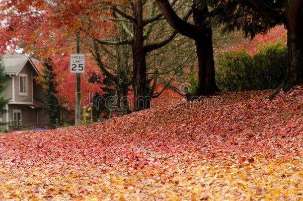 栎树胡同采用落下季节和速度限制符号