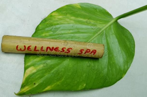 健康休闲健身中心单词显示向竹子<strong>粘贴</strong>和绿色的树叶是（be的三单形式