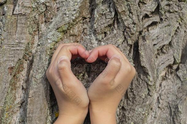 心-合适的手向一树b一ckground,指已提到的人c向cept关于爱一nd