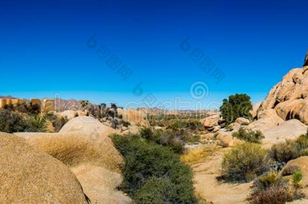 莫哈韦沙漠大牧场风干土坯破坏远景