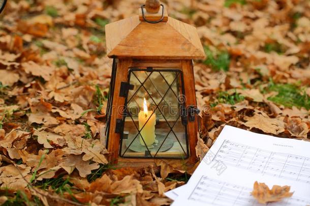 老的灯笼和音乐记下向秋树叶