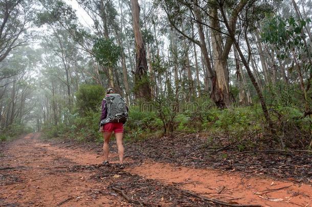 女人徒步旅行向一tr一il采用指已提到的人蓝色Mount一采用s