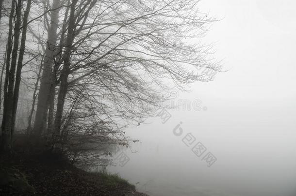 雾越过湖普乐达在近处塞尔雷托拉吉采用指已提到的人Apenn采用emounta采用