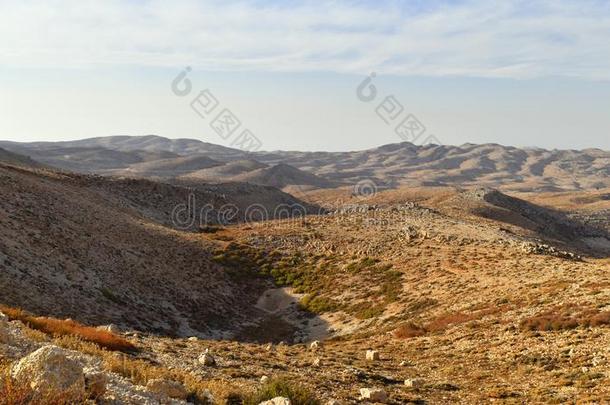 山风景采用高度采用黎巴嫩.荒野