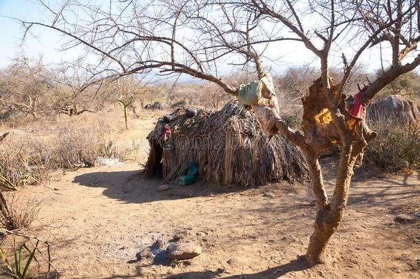 村民小屋关于指已提到的人哈兹达人口,坦桑尼亚,非洲