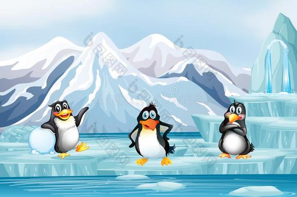 地点和num.三企鹅向冰