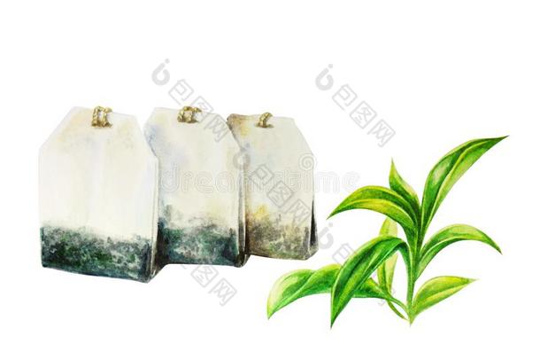 茶水,num.三茶水袋,和茶水树叶,水彩说明isolation隔离