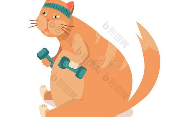 肥的猫列车采用运动.重的猫采用健身房电梯哑铃.锻炼