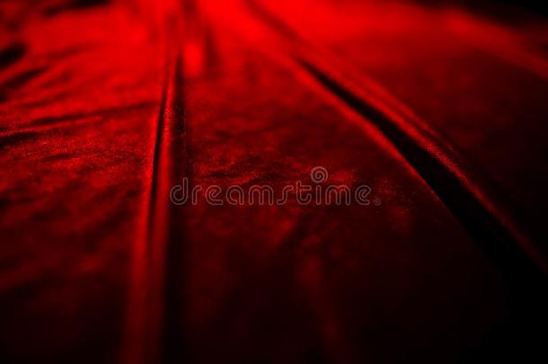 红色的,深红色丝绒,一种尼龙粘扣的商标和折叠.面使闪光光,香葱