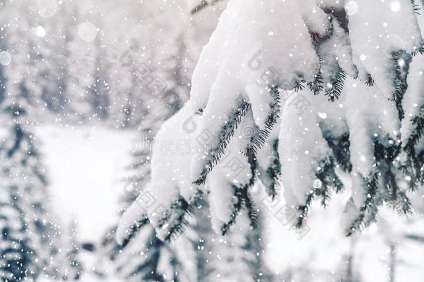 严寒的冬风景采用下雪的森林.圣诞节背景winter冬天