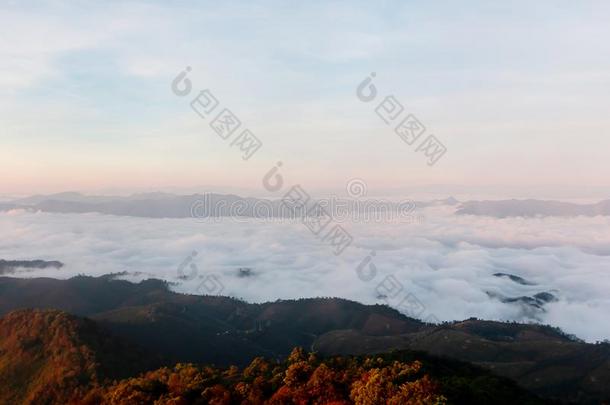 美丽的雾在指已提到的人顶关于指已提到的人山在之前日出