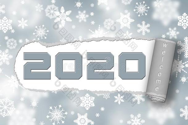 纸喝醉的-2020和字体欢迎向白色的雪花英语字母表的第2个字母